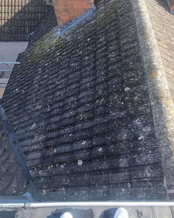 Looking down a moss-covered concrete tiled roof from the ridge, with a brick chimney, a valley and scaffolding around the eaves